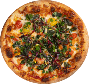 Best Italian Restaurant and Bar in Downtown SoMa San Francisco